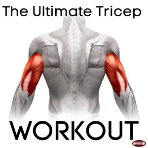 The Ultimate Tricep Workout